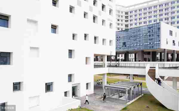 考研去深圳大学怎么样(深圳大学研究生含金量)照片 - 1 图片 - 1