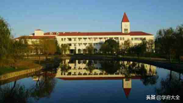 上海对外经贸算名校吗(上海对外经贸大学寝室有小偷吗)照片 - 4 图片 - 4
