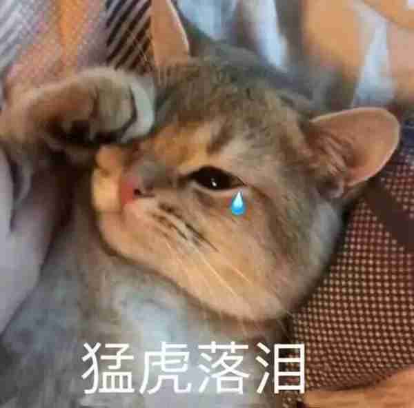 韩国的海蓝之谜怎么样(海蓝之谜 各国版本区别)照片 - 3 图片 - 3